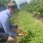 Upcoming PIPS3 Program Roadshow Walk and Talk in Orange, NSW