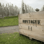 Montague: A legacy of excellence in Australia’s fresh produce industry