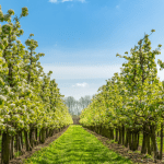 Presenters for the upcoming Future Orchards Spring Series