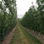 Nutrient management using best practice monitoring