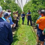 Working with trees delivers ASE results for Allan Brothers