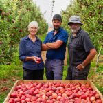 Passion for quality the Smart approach at Tingira