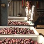 Churchill Fellowship: Developing tomorrow’s industry leaders