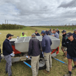 Precision orcharding to manage variability