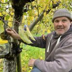 PIPS 4 Profit program: Informing more profitable and sustainable apple and pear orchards