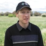 Soil carbon markets – are they a good fit for apple and pear growers?