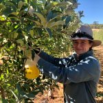 PIPS 4 Profit program regional highlight: Western Australia