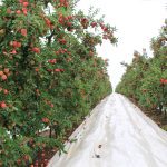 Prioritising profit – practical steps to a better bottom line