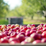 Empowering the industry for a sustainable future