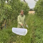Making the most of our tiny egg parasitoids