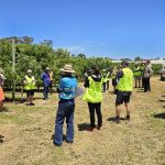 Spring orchard walks – what we have seen and heard so far