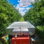Variable rate fertiliser applications in orchards: costs, benefits and return on investment