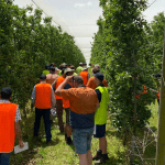 Future Orchards Spring Series 2024 wrap-up