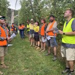 2025 Future Orchards® Victoria summer orchard walks recap