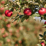 Opportunities to improve margins for those who know their numbers