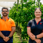 New program to upskill current and future generations in the apple and pear industry