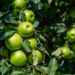 Export growth the focus of new trade program