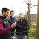 Composts and mulches for young orchards – do they stack up?