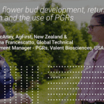 Thin early in biennial-prone varieties to improve return bloom