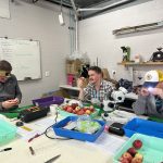 Building the case for fumigation-free apple exports