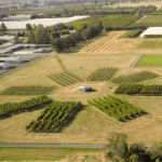Win tickets to the XI International Symposium on Irrigation of Horticultural Crops