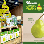 Strong results for FY25 pears export marketing activities in New Zealand and Canada
