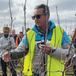 Train your way to a more productive, efficient and easier to manage orchard