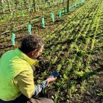 Engaging with the Sustainability Framework
