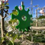 Counting down to harvest – crop load metrics throughout the season