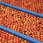 New season supply insights to inform planning