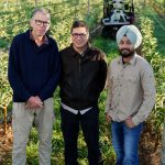 Narrow orchard systems: Trials shed light on NOS in Australian conditions