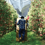 Protect your business and your workers