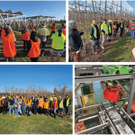Funding for benchmarking and building capability