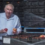 From codling moth to fire blight and new varieties: how Stephen Tancred helped modernise apple growing